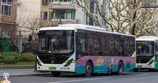 沪A 38671D