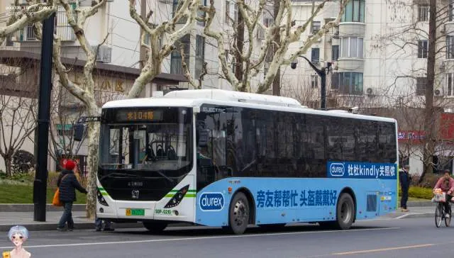 沪A 06221D