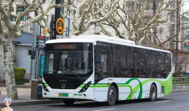沪A 30562D