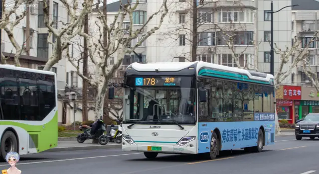 沪A 31790D