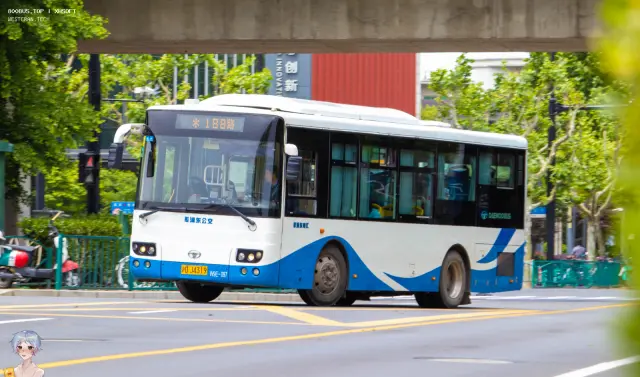 沪D J4319