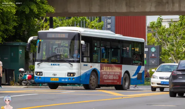 沪D J4366