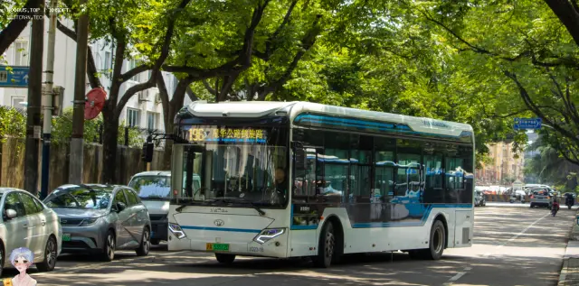 沪A 53512D
