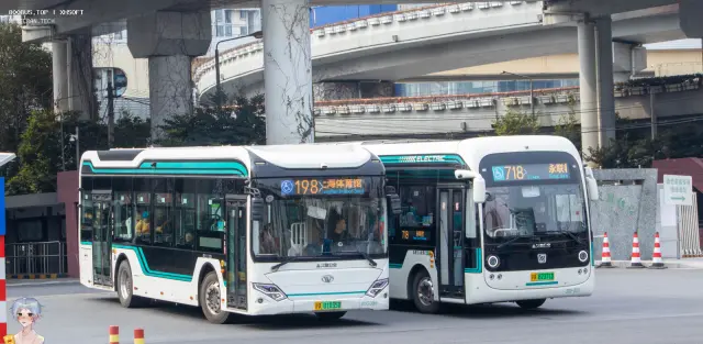 沪A 01035D