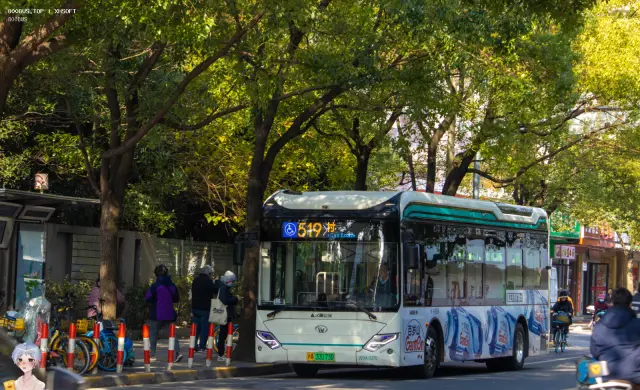 沪A 33173D