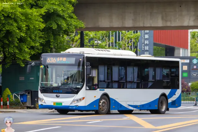 沪A 00447D