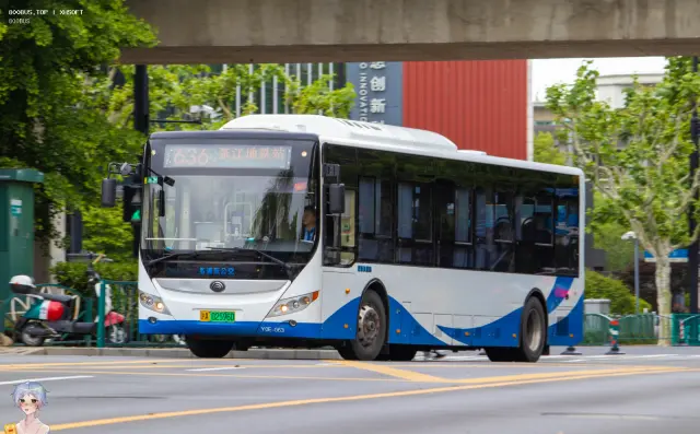沪A 02586D