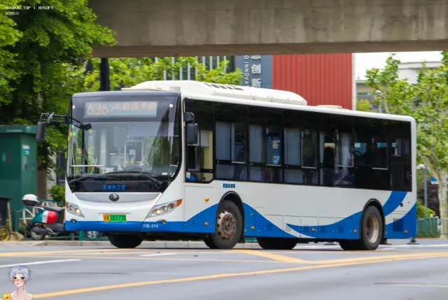 沪A 06537D