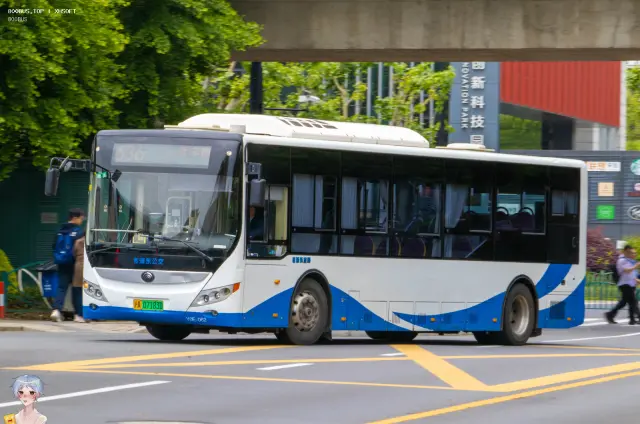 沪A 07183D