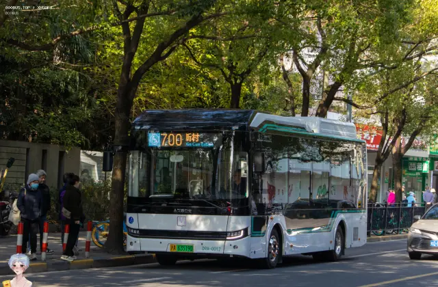 沪A 63519D