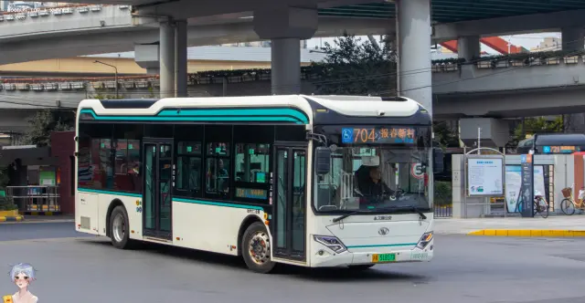 沪A 51817D