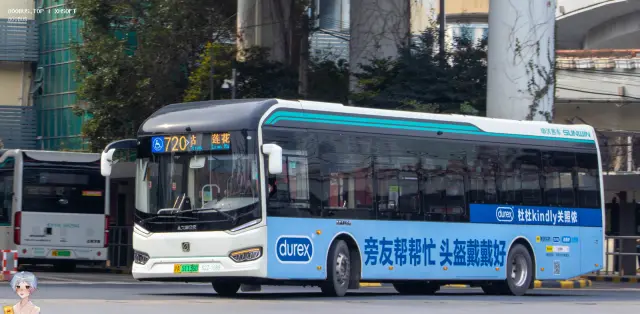 沪A 51136D