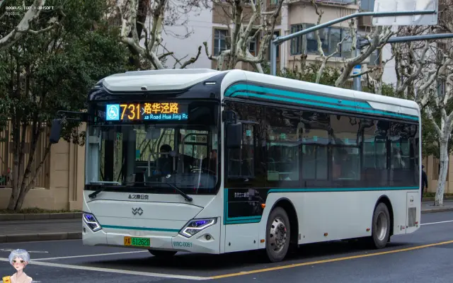 沪A 61262D