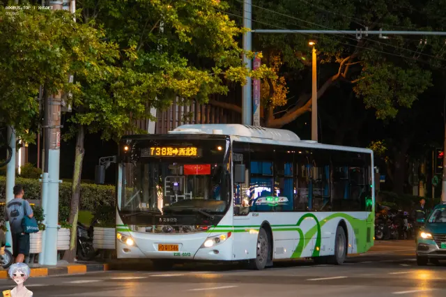 沪D Q1346