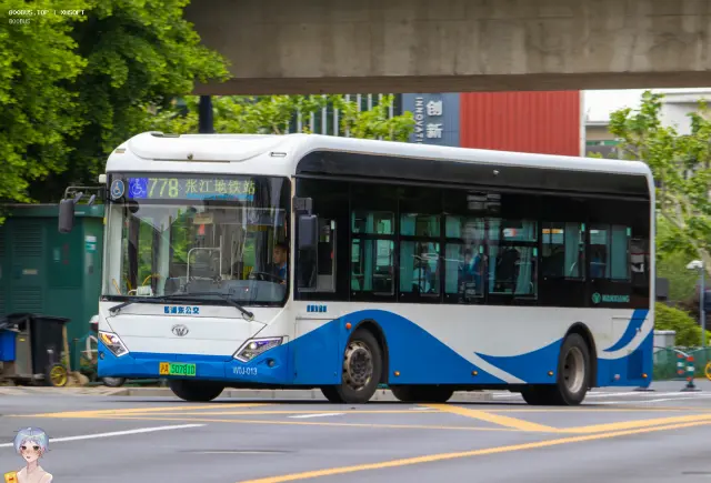 沪A 50781D