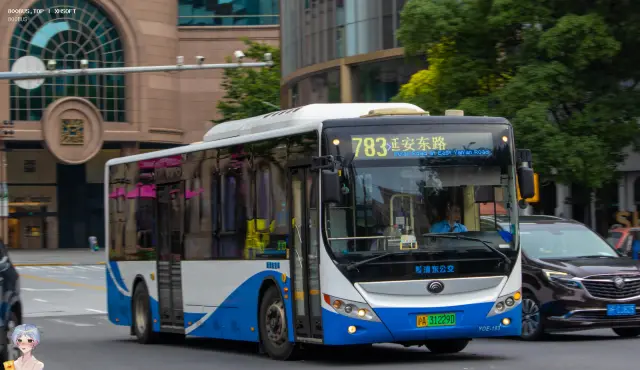 沪A 31229D
