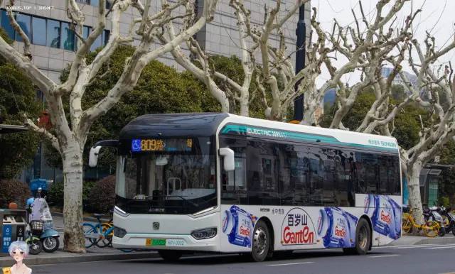 沪A 31652D