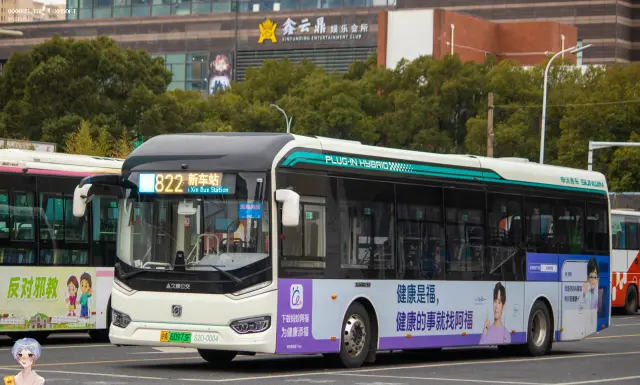 沪A 60973F