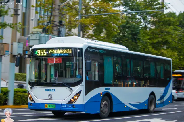 沪A 36880D