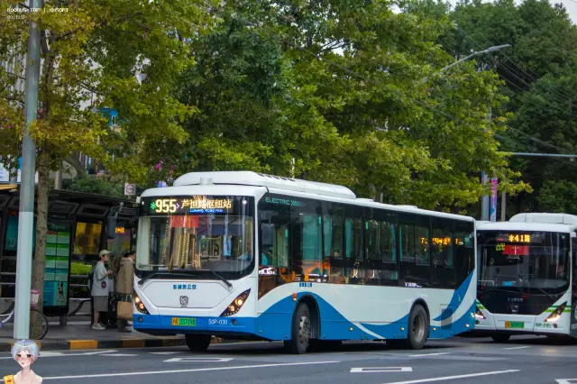 沪A 33719D