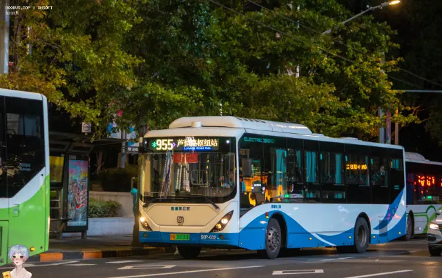 沪A 33731D