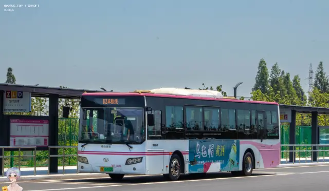 沪A 07620D