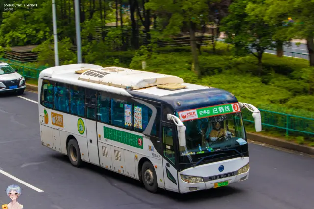 沪A 05027D