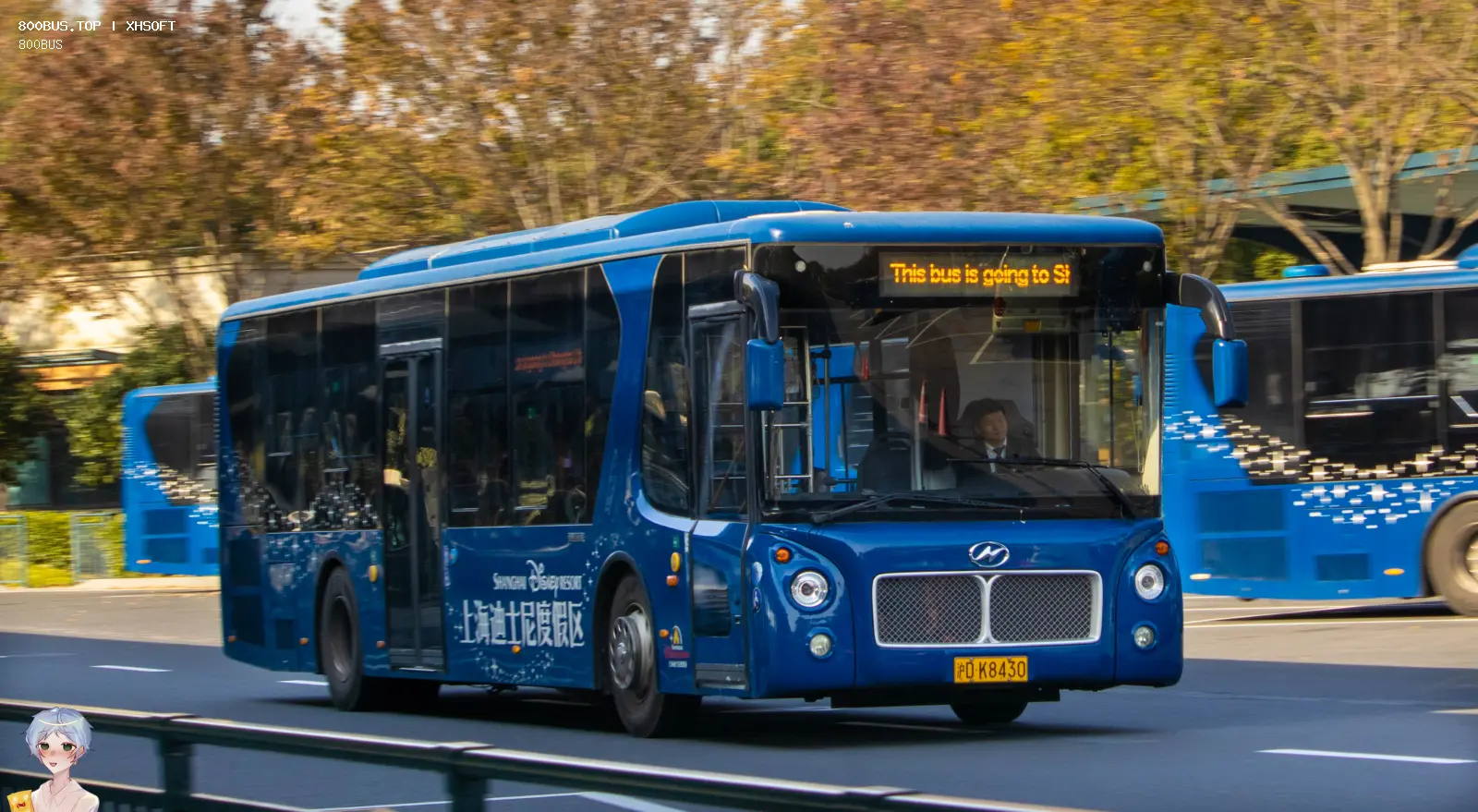 Bus Archive