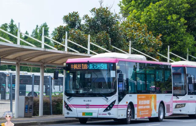 沪A 55893D