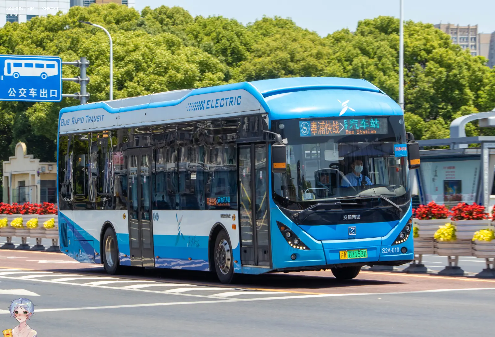Bus Archive