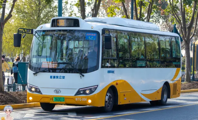 沪A 36001D