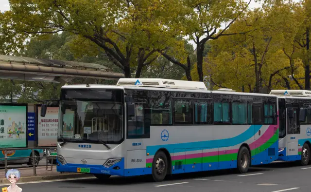 沪A 65923F