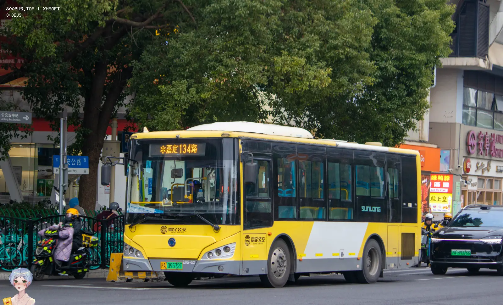 Bus Archive