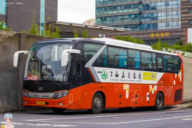 沪F C3051