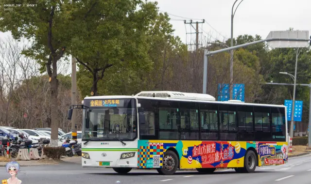 沪A 30931D