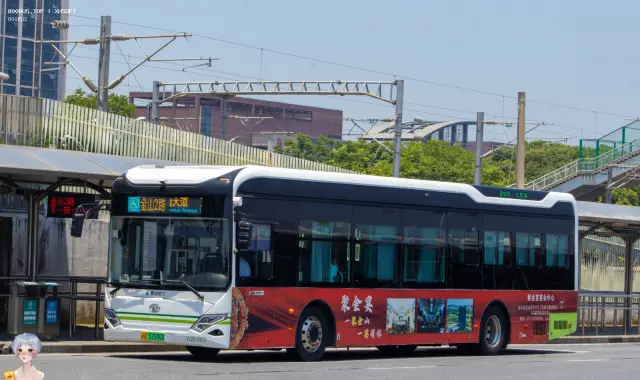 沪A 57596D