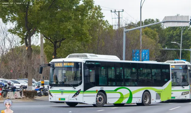 沪A 02010D