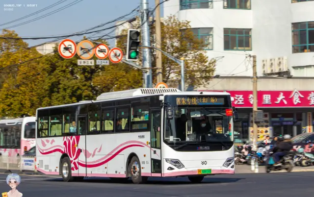 沪A 68616D