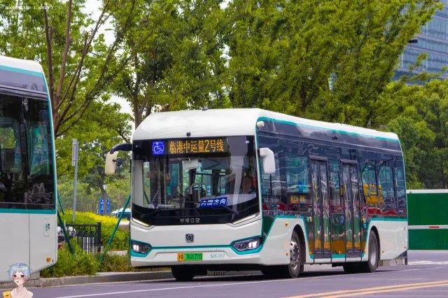 沪A 36837D