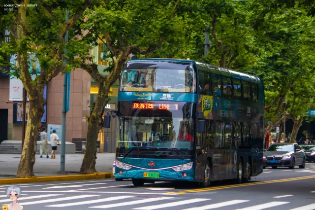 沪A 63637D