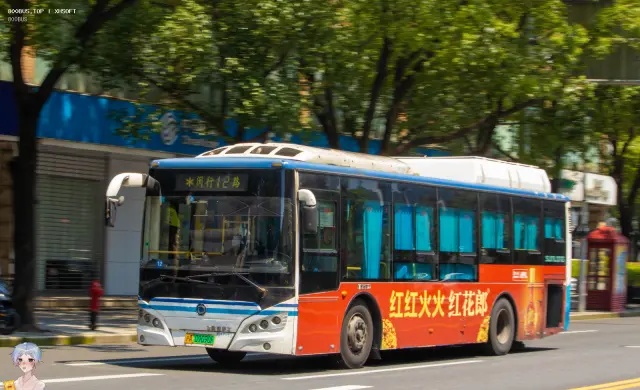沪A 09090F