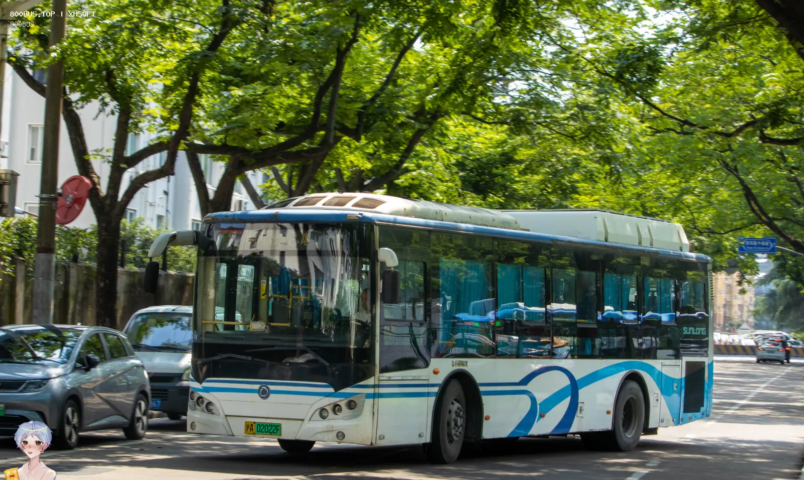 Bus Archive