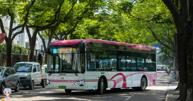 沪A 61555D