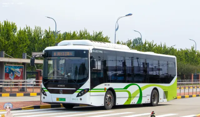 沪A 33977D
