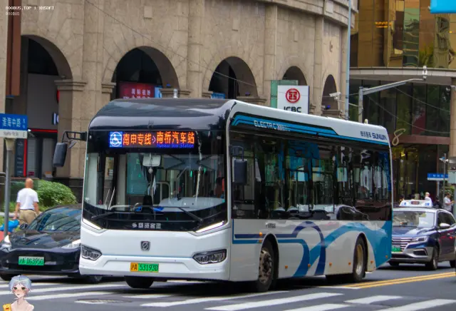 沪A 53193D