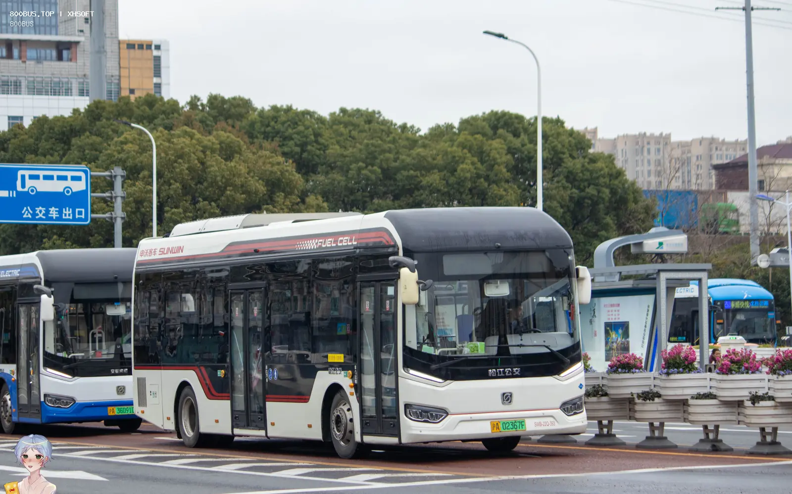 Bus Archive