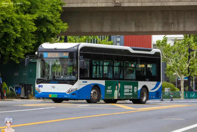 沪A 31825D