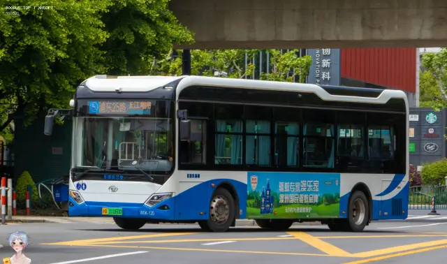 沪A 31060D