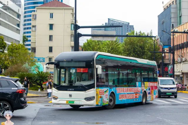 沪A 56978D