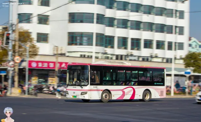 沪A 32142D